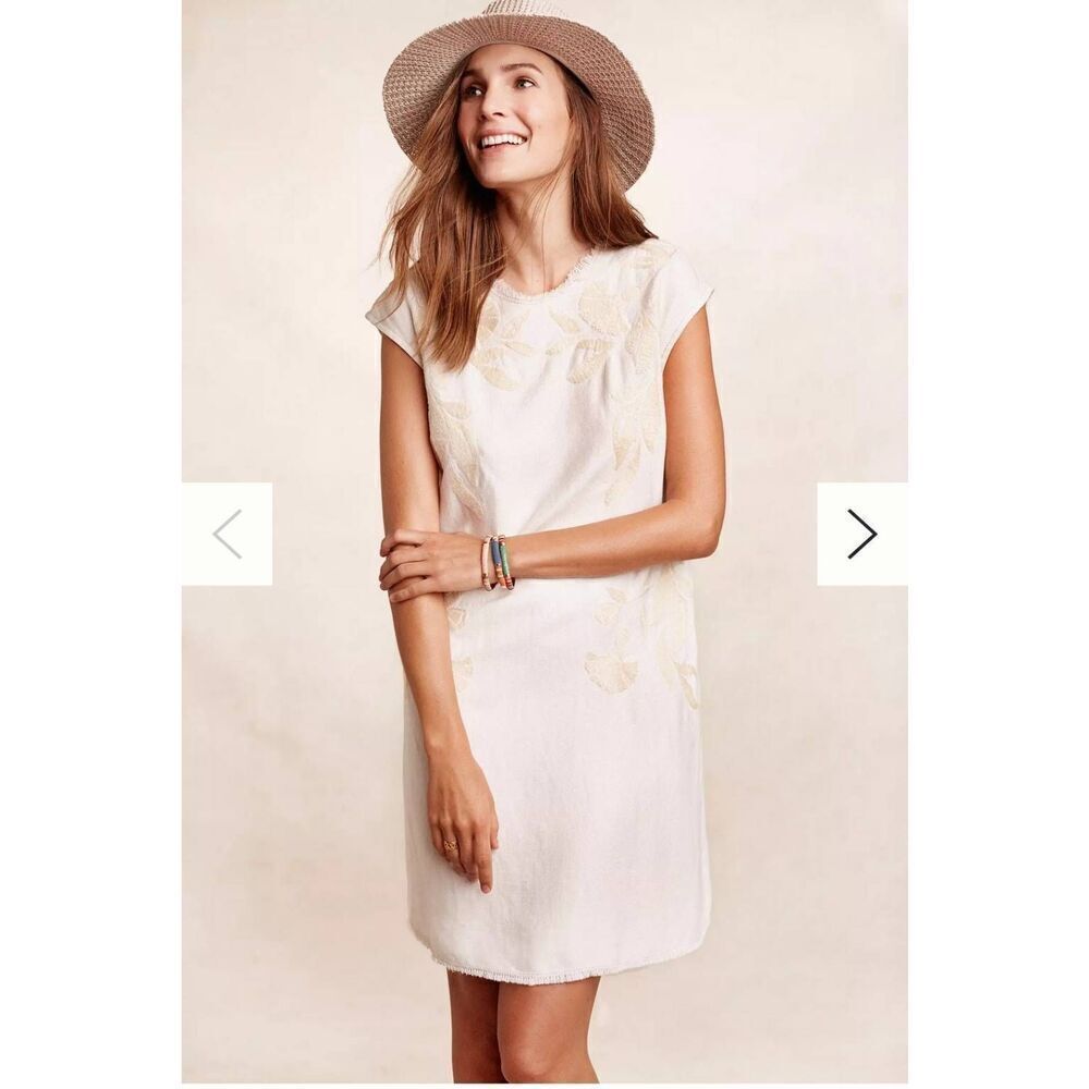 Anthropologie Holding Horses Sandscape Swing Dress Size XS NWT